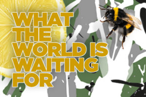 'What the World Is Waiting For' promotional image. Yellow font with an image of a lemon and a bee in the background.