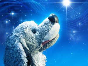Promotional image for 'Twinkle Twinkle' a grey toy dog is on a blue background that looks like the night sky. The dog is looking upwards towards the top right hand corner at a bright, shining star.