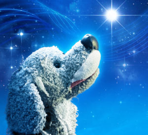 Promotional image for 'Twinkle Twinkle' a grey toy dog is on a blue background that looks like the night sky. The dog is looking upwards towards the top right hand corner at a bright, shining star.