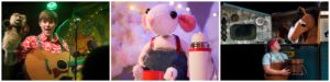 3 images side by side - production images of programmed shows at Z-arts. First picture is from 'Climb That Tree' - David Gibb, a man in a red shirt is holding a guitar and a brown hand puppet of a small animal. The second photo is from 'Snow Mouse' and is of a white toy mouse with pink ears sitting next to a white flask. The third one is from 'Black Beauty' and shows a man holding a bucket and wearing a blue t-shirt looking up at a brown horse with a white nose who is standing inside a horse box.