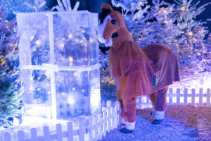 Picture of pantomime horse who is brown with a white nose and white lower legs standing in front of some Christmas trees and nuzzling a large block of ice with a white bow wrapped round it